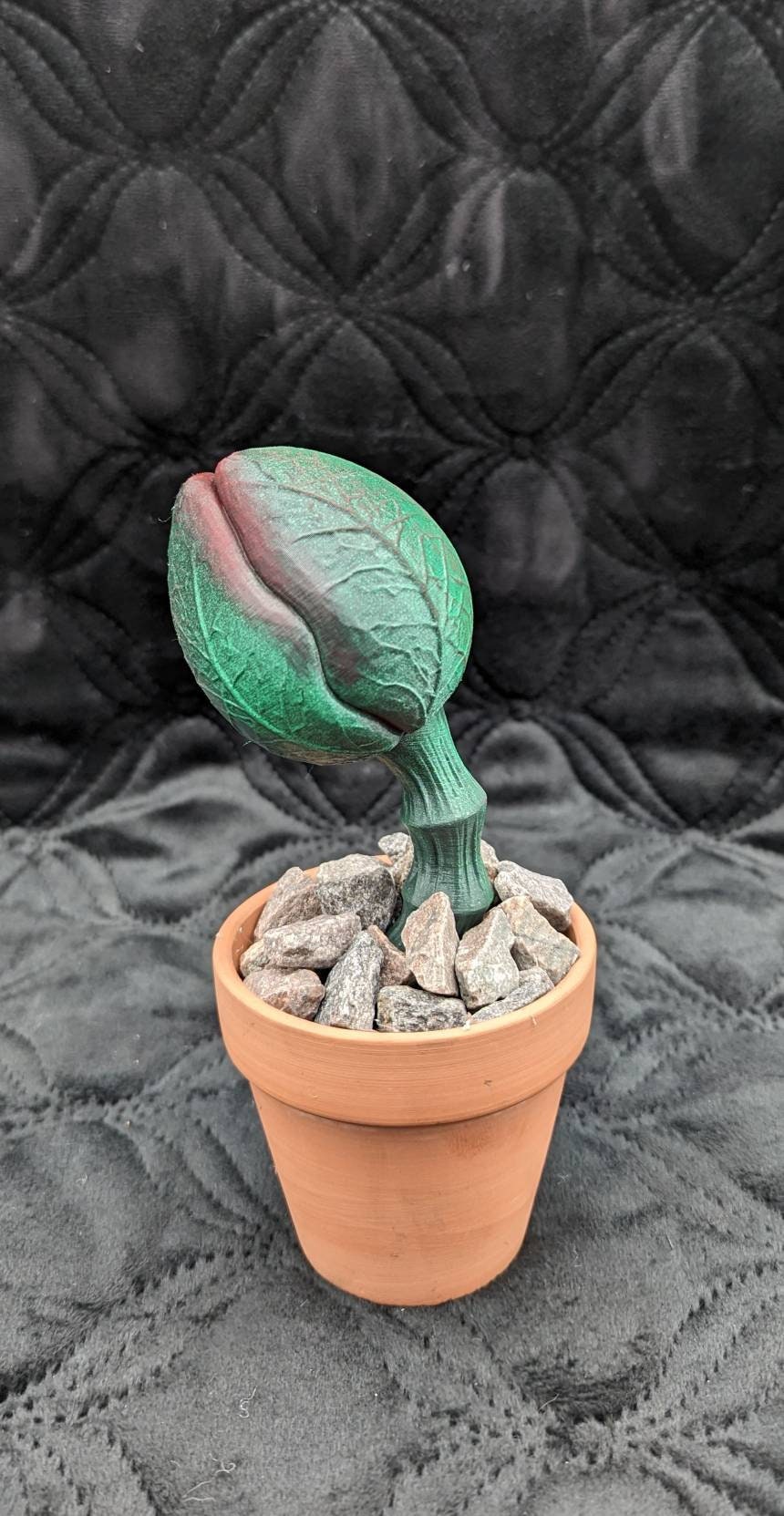 Scary carnivorous plant