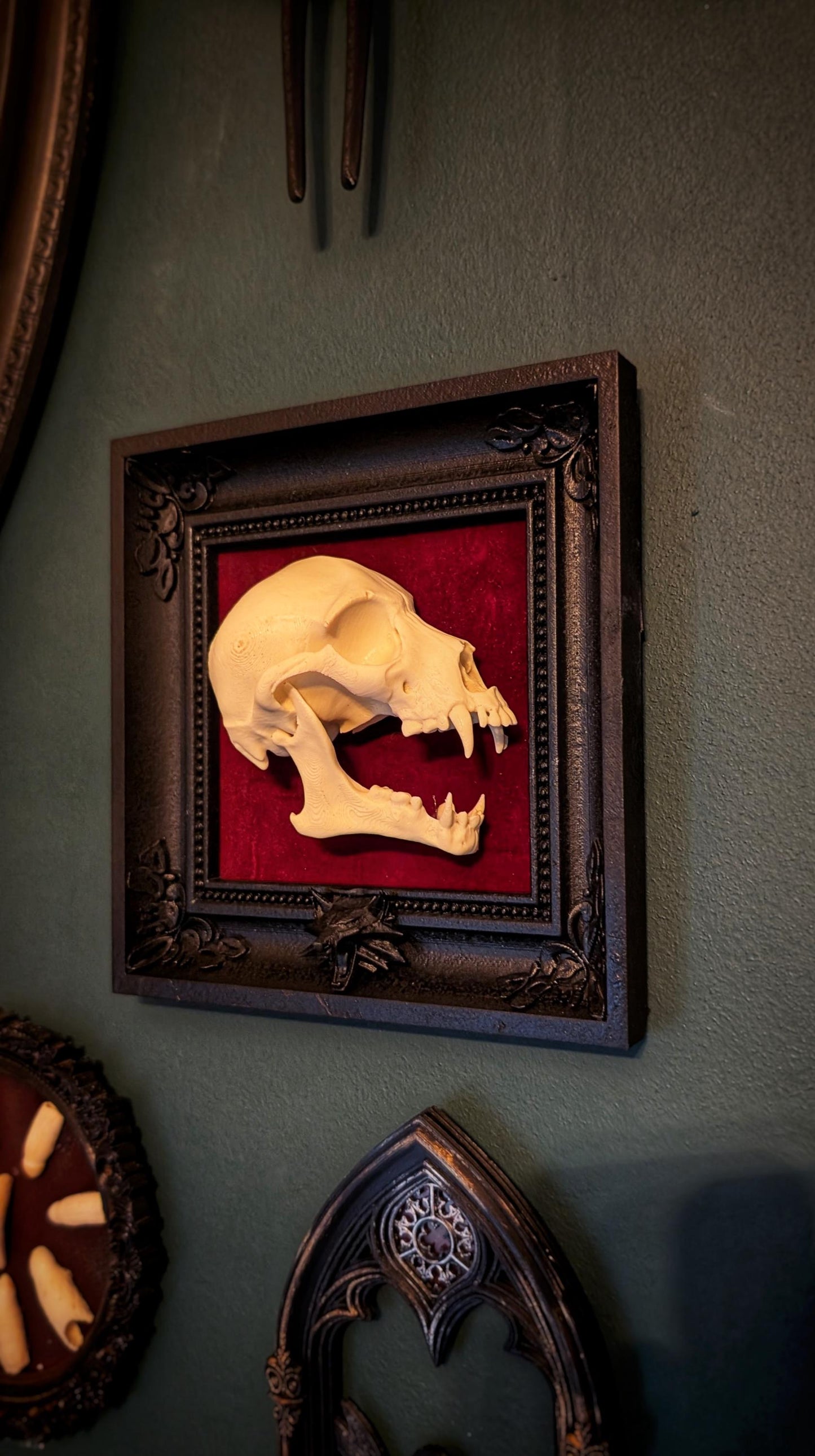 Anatomically Correct Werewolf Skull in Gothic Frame - Horror Collector's Art