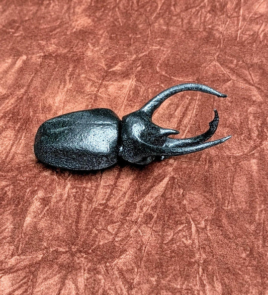 Realistic Rhinoceros beetle magnet 1:1 scale.
