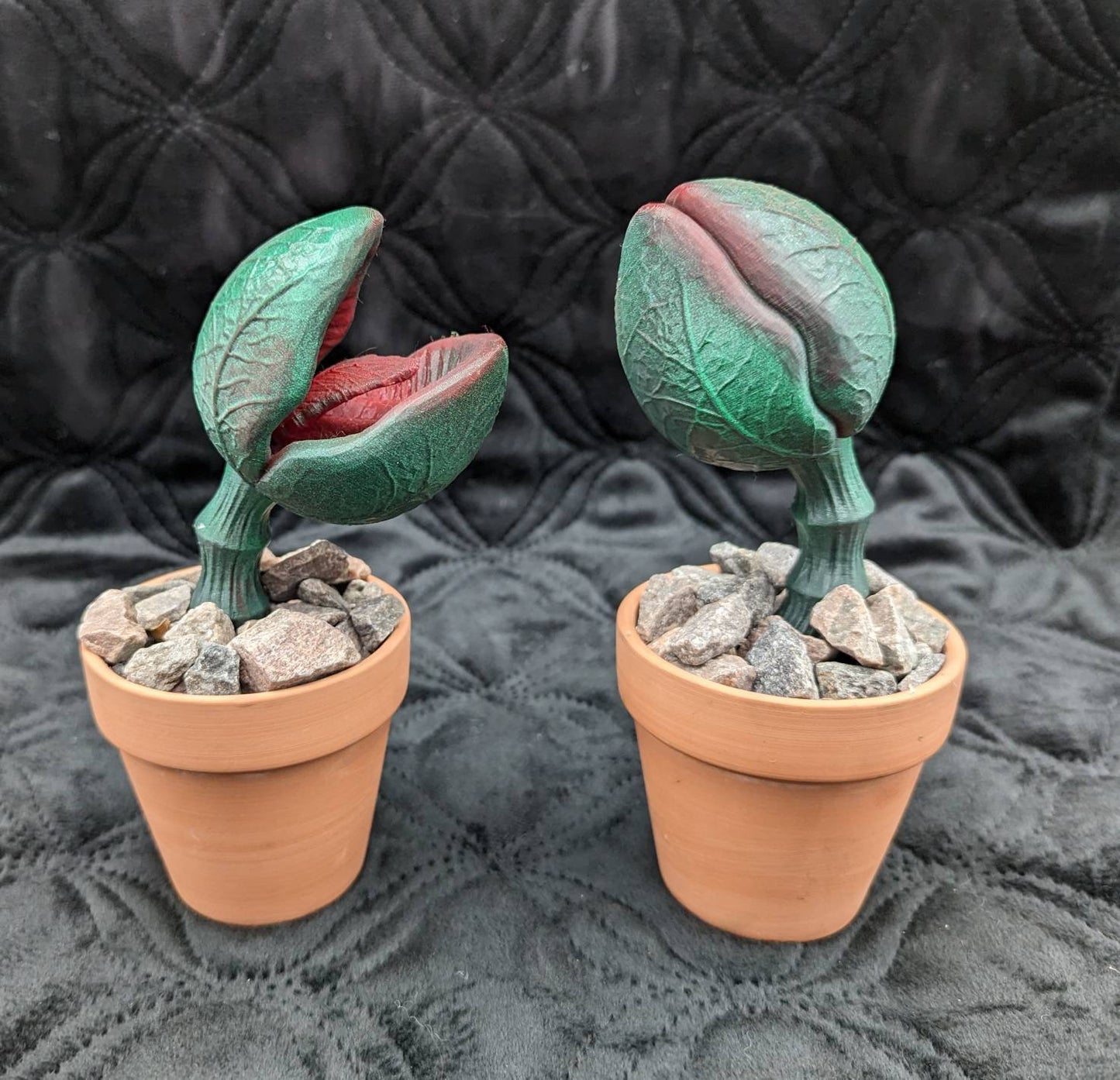 Scary carnivorous plant