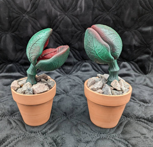 Scary carnivorous plant