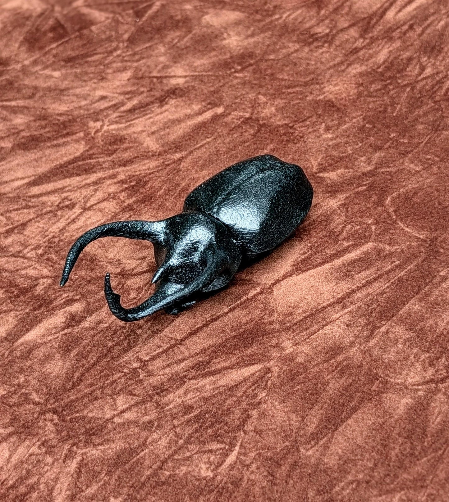 Realistic Rhinoceros beetle magnet 1:1 scale.