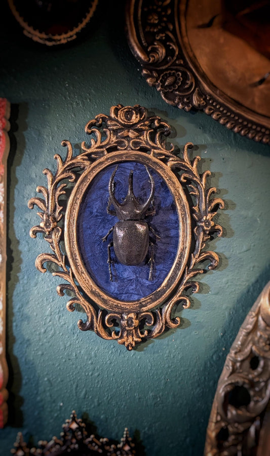 Rhinoceros beetle wall art