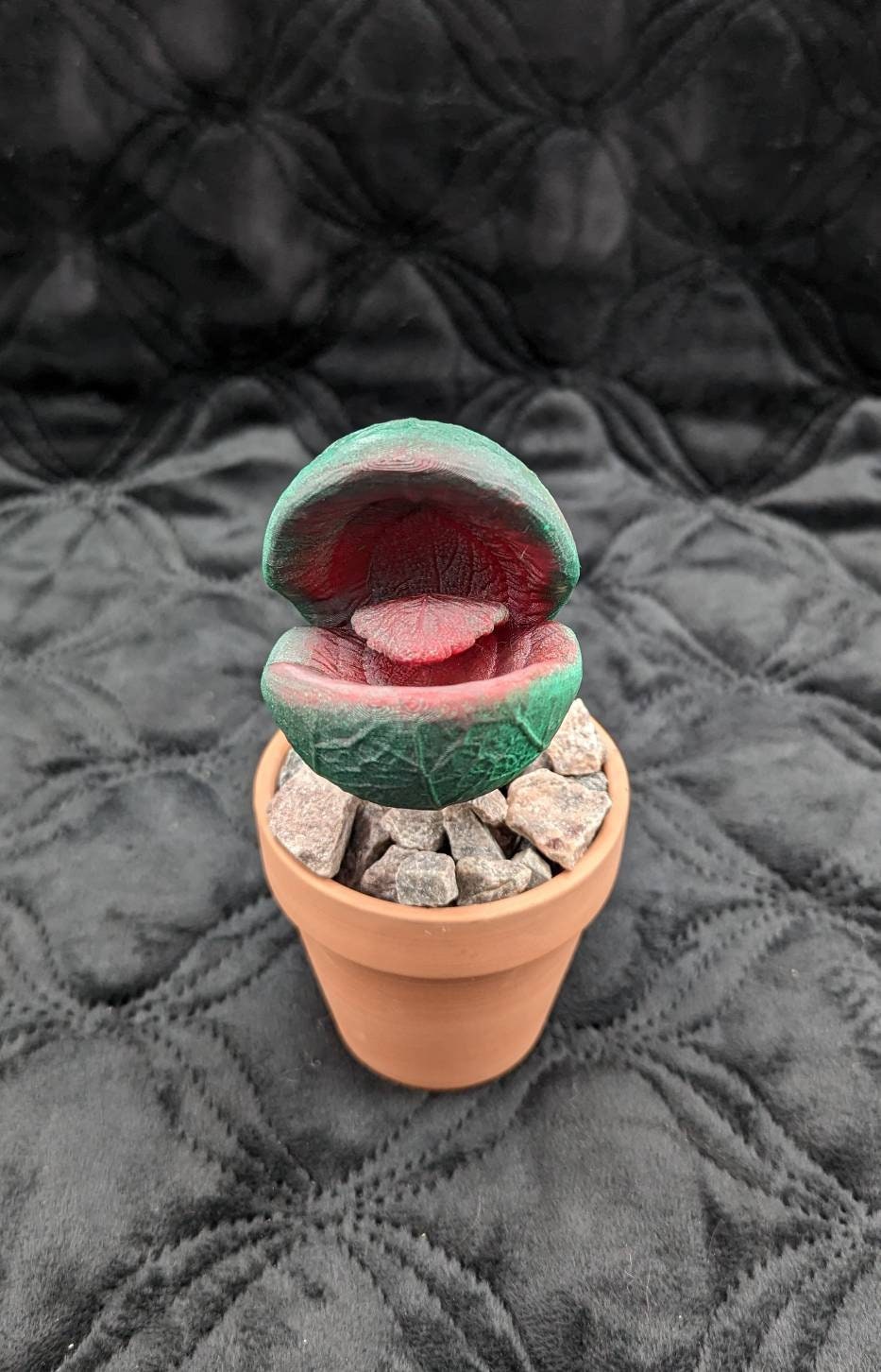 Scary carnivorous plant