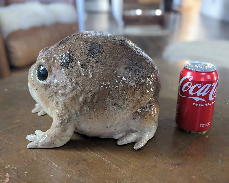 Giant Desert Rain Frog