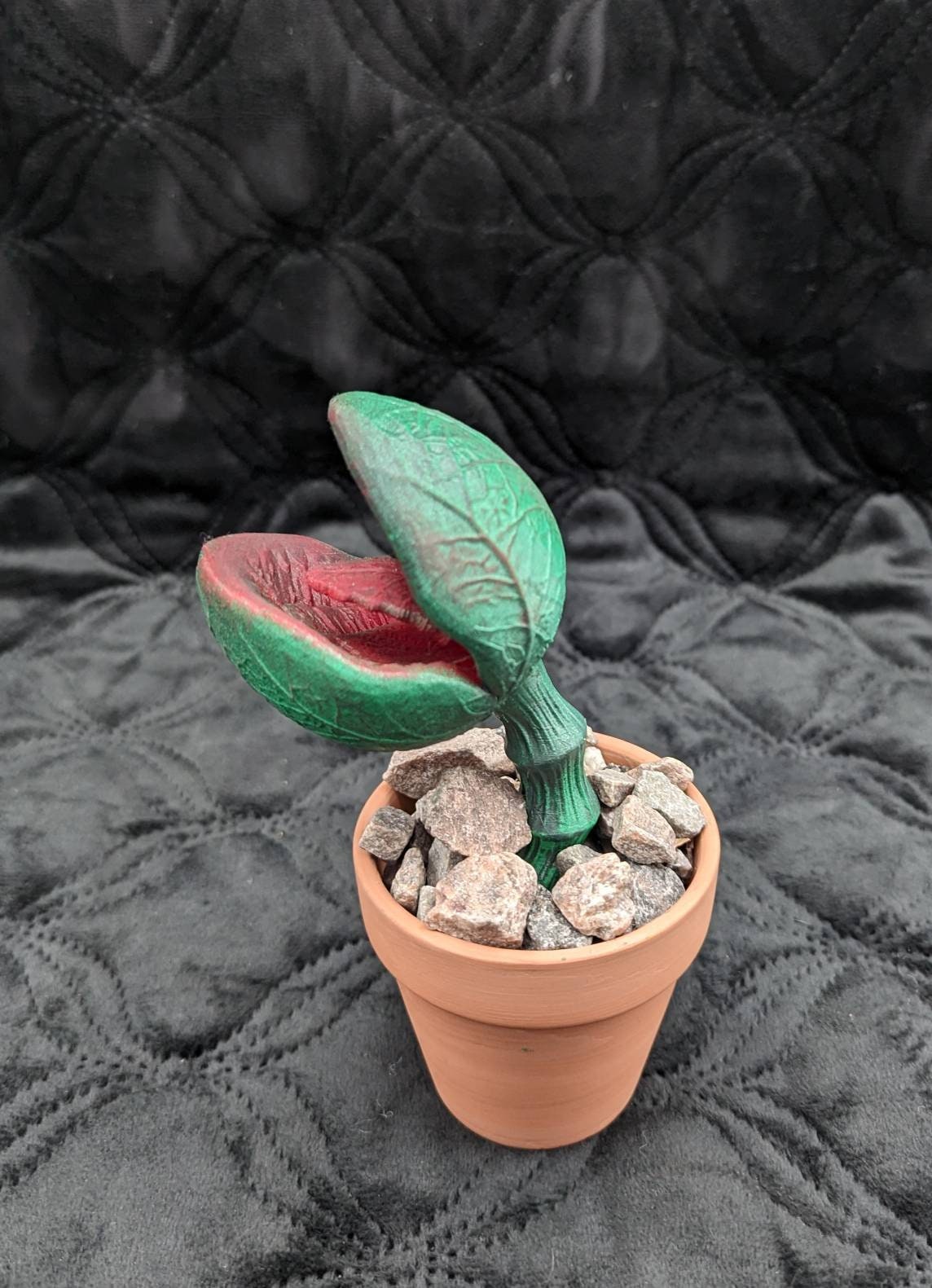 Scary carnivorous plant