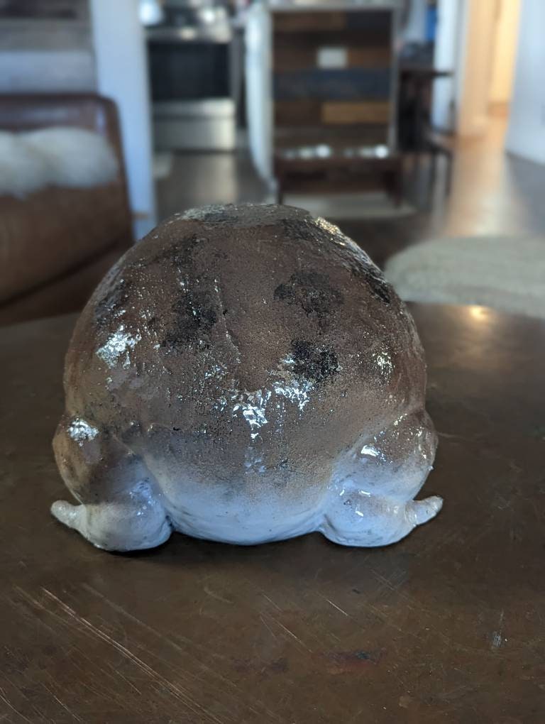 Giant Desert Rain Frog