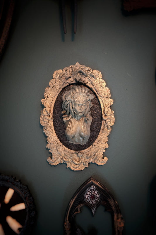 Medusa in Ornate Snake-Pattern Frame