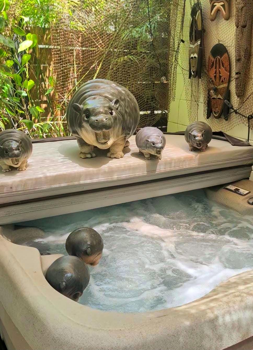 Realistic Moodeng the Pygmy Hippo