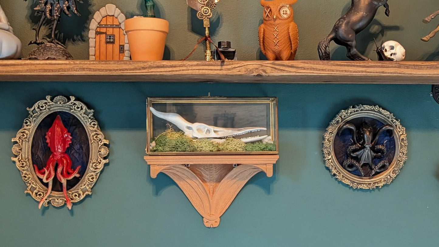 Baroque Giant Squid Wall Sculpture, Sea Monster Frame Art.