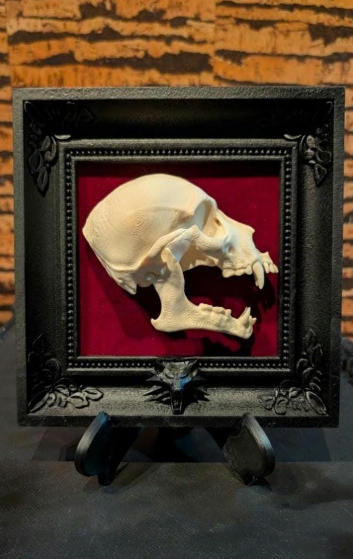 Anatomically Correct Werewolf Skull in Gothic Frame - Horror Collector's Art