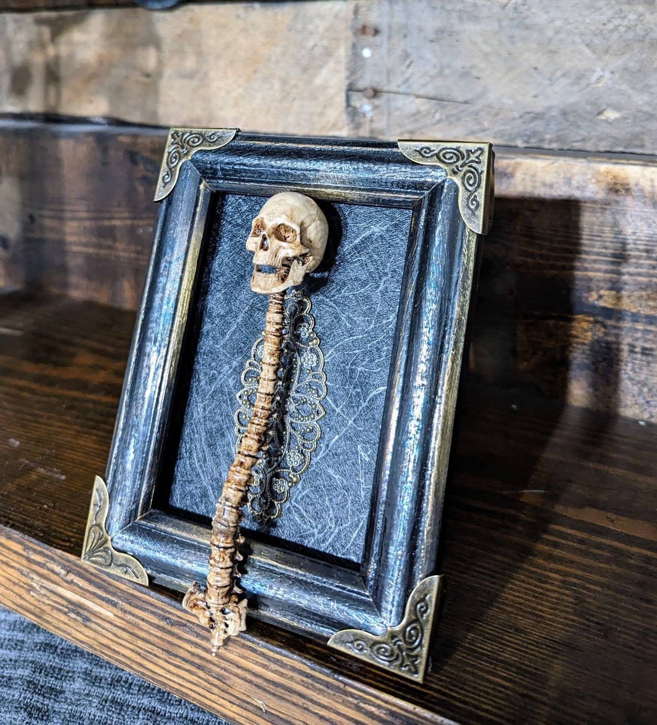 Realistic skull and spine framed