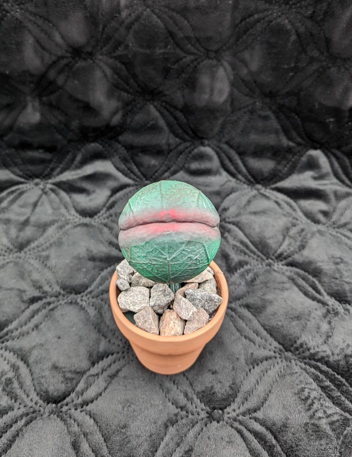 Scary carnivorous plant