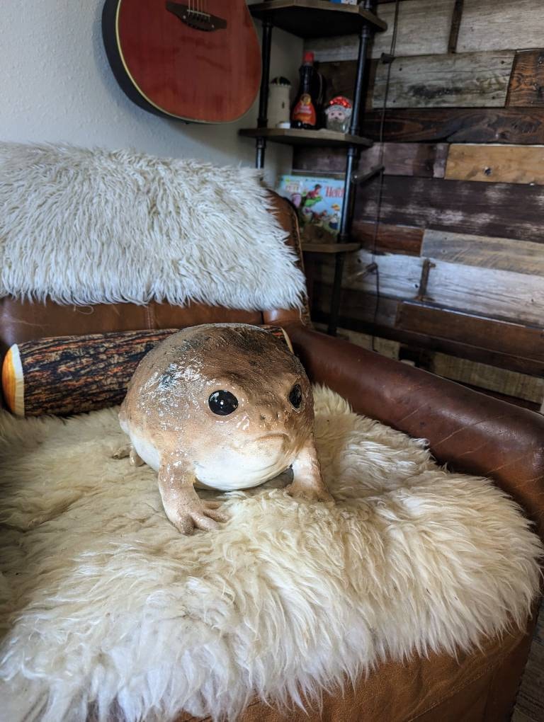 Giant Desert Rain Frog