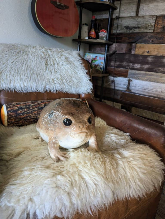 Giant Desert Rain Frog