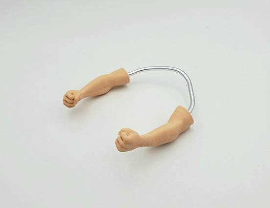 Funny Bird Arms: Small Parrot Accessory, Budgie Toy