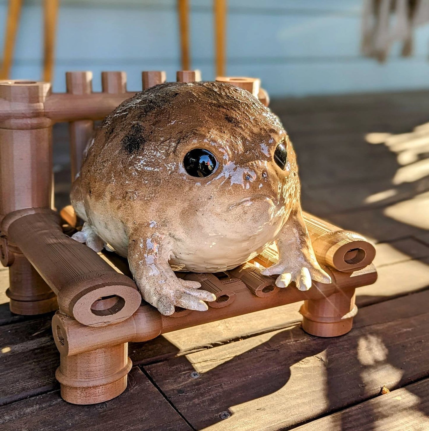 Giant Desert Rain Frog