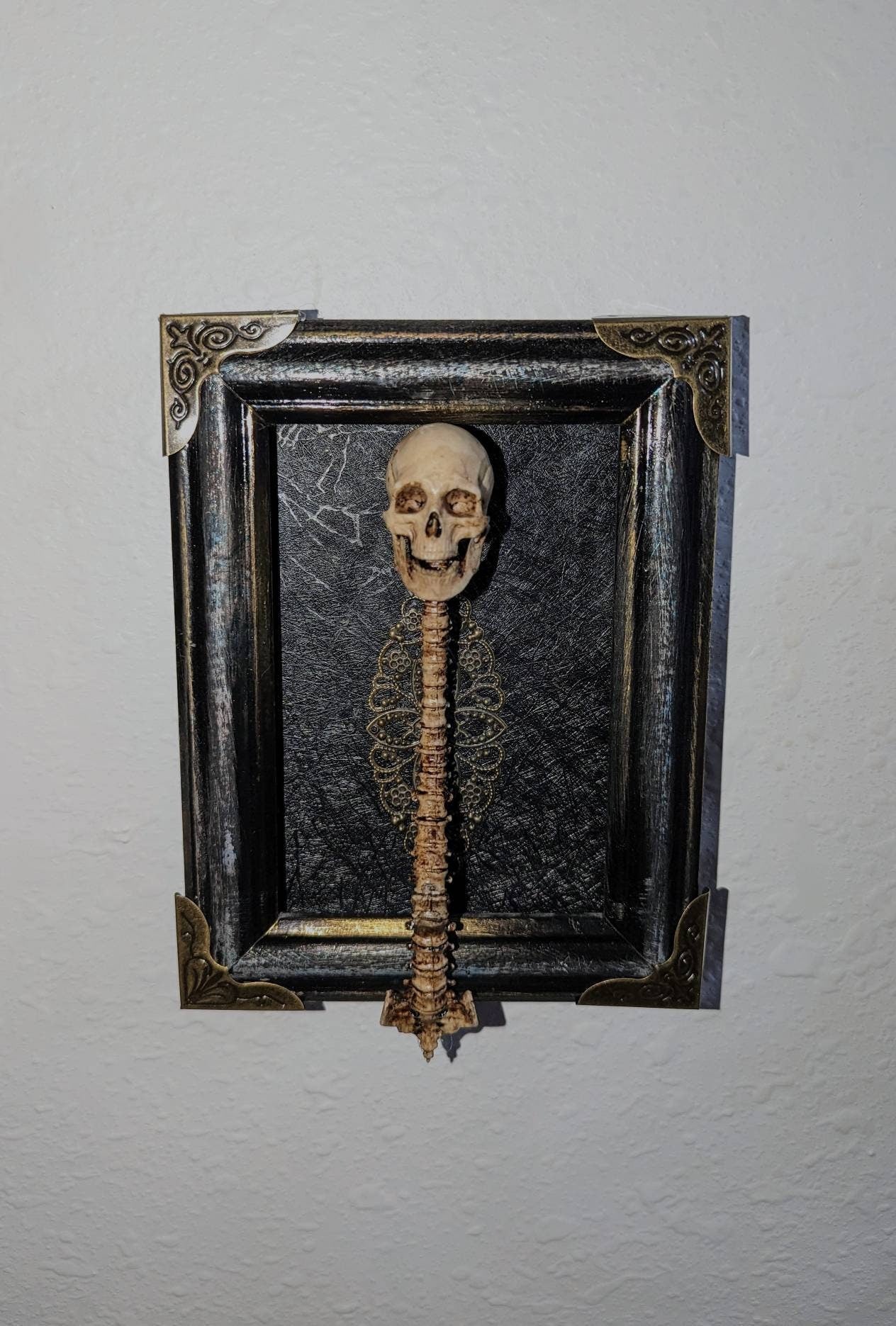 Realistic skull and spine framed