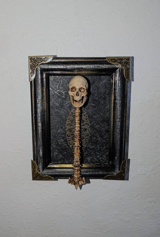 Realistic skull and spine framed