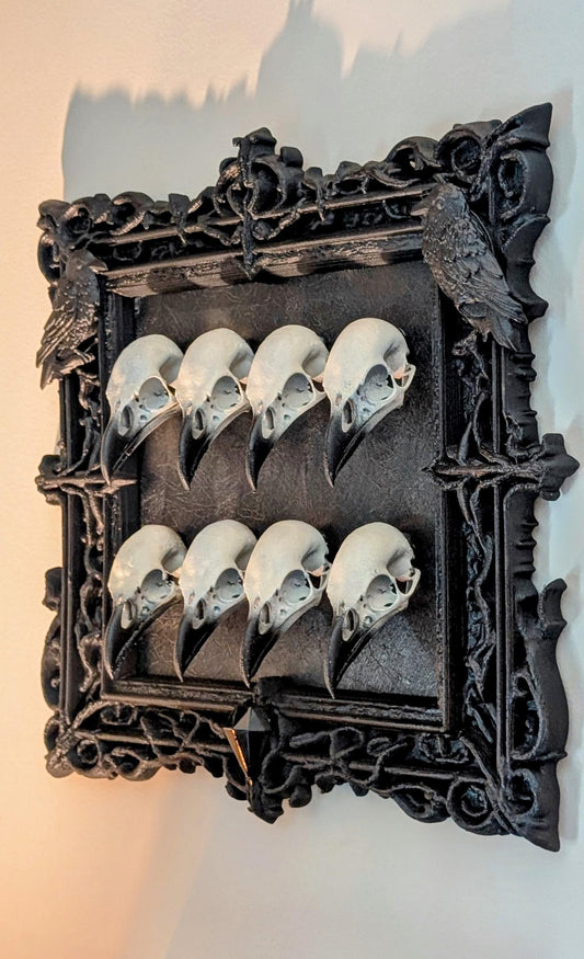 Medusa duck don't give a f*ck